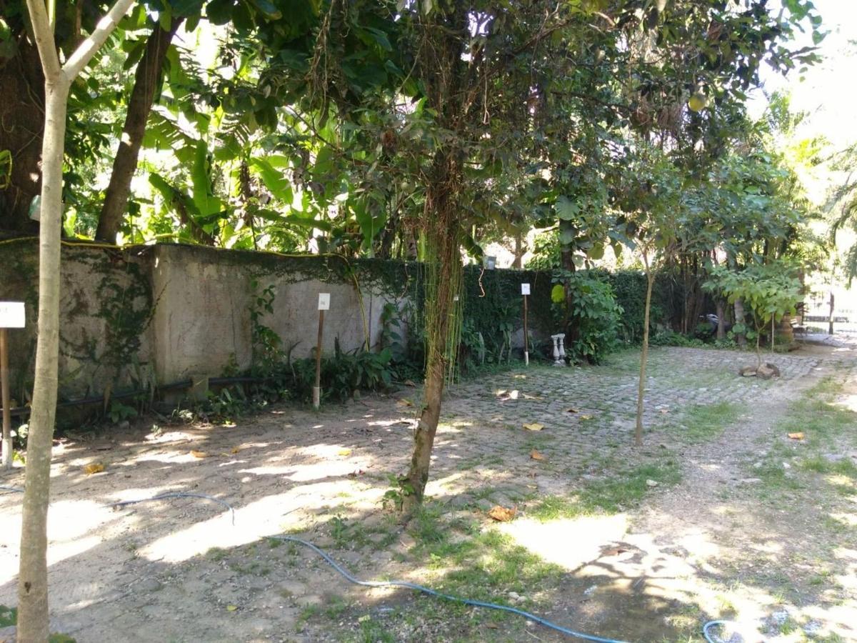 Apartamento Rio Natureza 111 *
